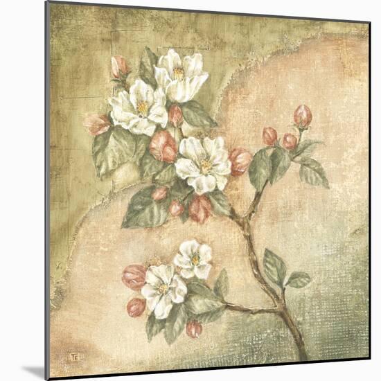 Burlap Cherry Blossom-Tina Chaden-Mounted Art Print