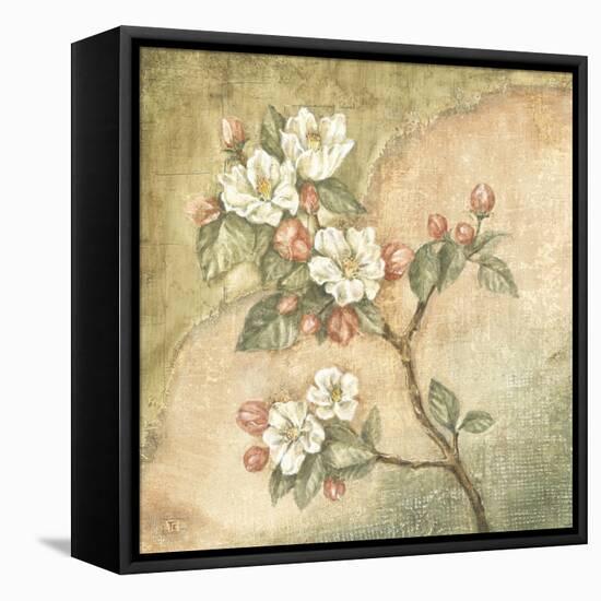 Burlap Cherry Blossom-Tina Chaden-Framed Stretched Canvas