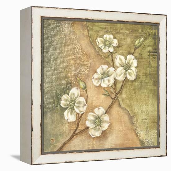 Burlap Dogwood Blossom-Tina Chaden-Framed Stretched Canvas