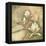 Burlap Magnolia I-Tina Chaden-Framed Stretched Canvas