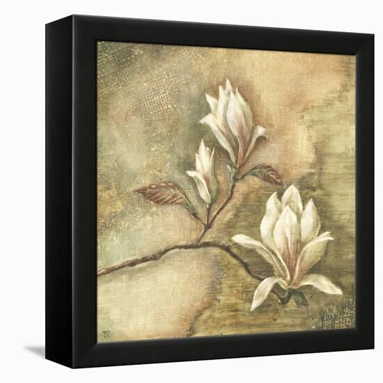 Burlap Magnolia I-Tina Chaden-Framed Stretched Canvas