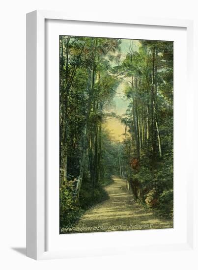 Burlington, Vermont, View of a Drive in Ethan Allen Park-Lantern Press-Framed Art Print