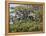 Burma, Rakhine State, Fruit Bats Spend the Day Hanging from the Branches of Large Trees, Myanmar-Nigel Pavitt-Framed Premier Image Canvas