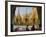 Burma, Yangon, Devout Buddhists Pray at the Shwedagon Golden Temple, Myanmar-Nigel Pavitt-Framed Photographic Print