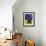 Burmese Cat, Series I-Isy Ochoa-Framed Giclee Print displayed on a wall