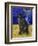 Burmese Cat, Series I-Isy Ochoa-Framed Giclee Print