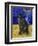 Burmese Cat, Series I-Isy Ochoa-Framed Giclee Print