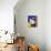 Burmese Cat, Series I-Isy Ochoa-Giclee Print displayed on a wall