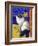 Burmese Cat, Series I-Isy Ochoa-Framed Giclee Print