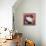 Burmese Cat, Series II-Isy Ochoa-Framed Premier Image Canvas displayed on a wall