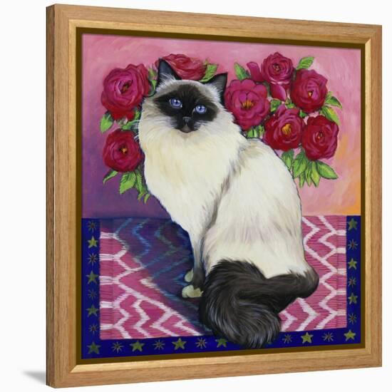 Burmese Cat, Series II-Isy Ochoa-Framed Premier Image Canvas