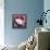 Burmese Cat, Series II-Isy Ochoa-Framed Premier Image Canvas displayed on a wall