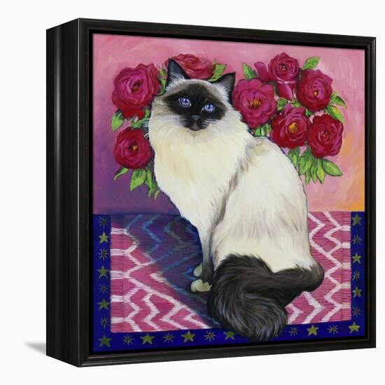 Burmese Cat, Series II-Isy Ochoa-Framed Premier Image Canvas