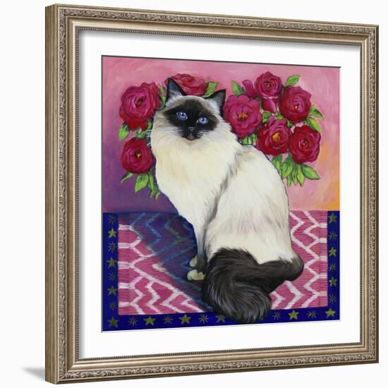 Burmese Cat, Series II-Isy Ochoa-Framed Giclee Print