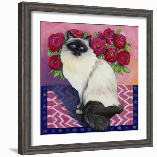 Burmese Cat, Series II-Isy Ochoa-Framed Giclee Print