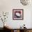 Burmese Cat, Series II-Isy Ochoa-Framed Giclee Print displayed on a wall