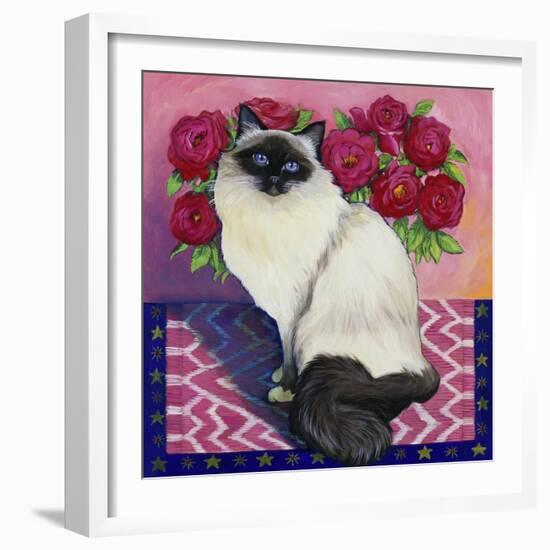 Burmese Cat, Series II-Isy Ochoa-Framed Giclee Print