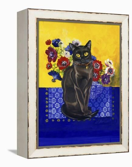 Burmese Cat, Series II-Isy Ochoa-Framed Premier Image Canvas