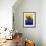 Burmese Cat, Series II-Isy Ochoa-Framed Giclee Print displayed on a wall