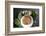 Burmese Lunch of Chapati with Beef Curry, Southern Shan State-Annie Owen-Framed Photographic Print