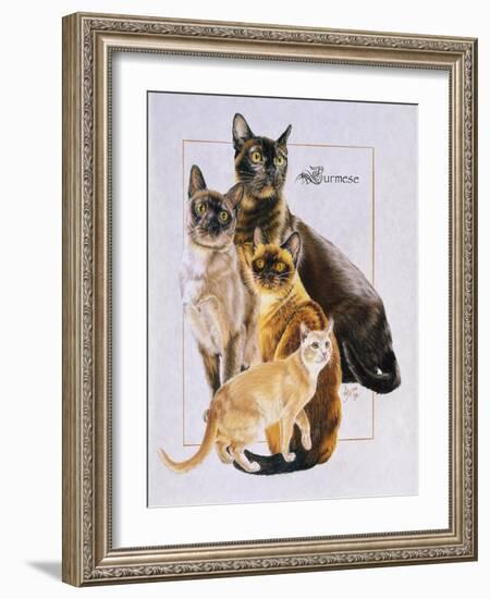 Burmese-Barbara Keith-Framed Giclee Print