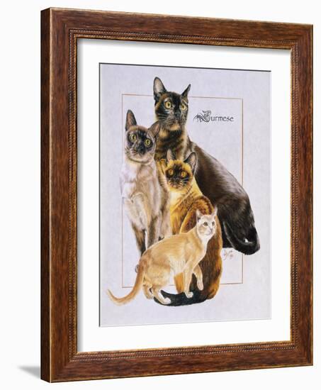 Burmese-Barbara Keith-Framed Giclee Print