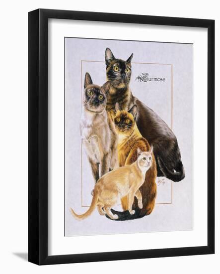 Burmese-Barbara Keith-Framed Giclee Print