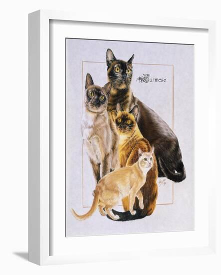 Burmese-Barbara Keith-Framed Giclee Print