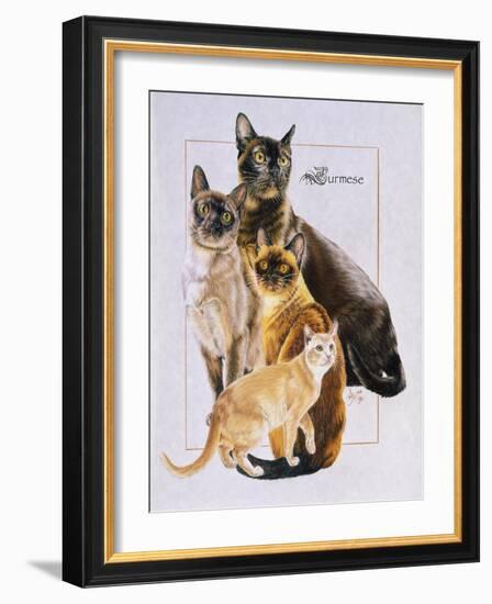 Burmese-Barbara Keith-Framed Giclee Print