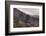 Burned Canary pine trees, La Palma Island, Canary Islands, Spain, Europe-Sergio Pitamitz-Framed Photographic Print