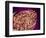 Burned Tip of Cigarette-Micro Discovery-Framed Photographic Print