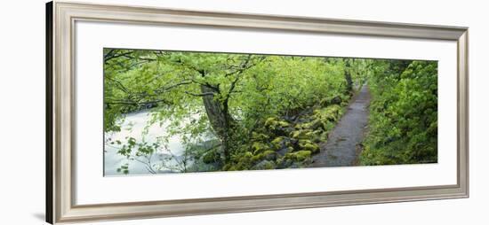 Burney Creek, Mcarthur-Burney Falls Memorial State Park, California, USA-null-Framed Photographic Print