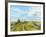 Burnham Norton Marshes, 2004-Tom Young-Framed Giclee Print