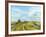 Burnham Norton Marshes, 2004-Tom Young-Framed Giclee Print