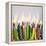 Burning Birthday Candles-Beathan-Framed Premier Image Canvas