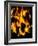 Burning Coal-Tek Image-Framed Photographic Print