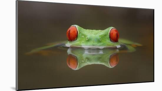 Burning Eyes-Kutub Uddin-Mounted Giclee Print