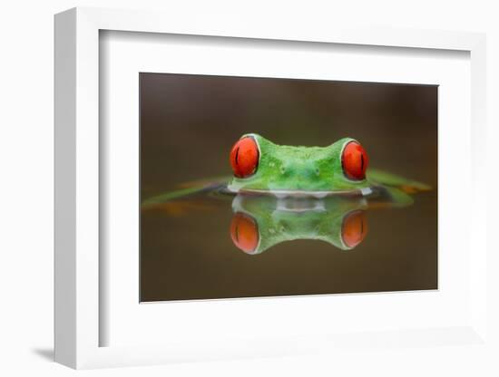 Burning Eyes-Kutub Uddin-Framed Photographic Print