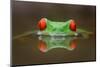 Burning Eyes-Kutub Uddin-Mounted Photographic Print