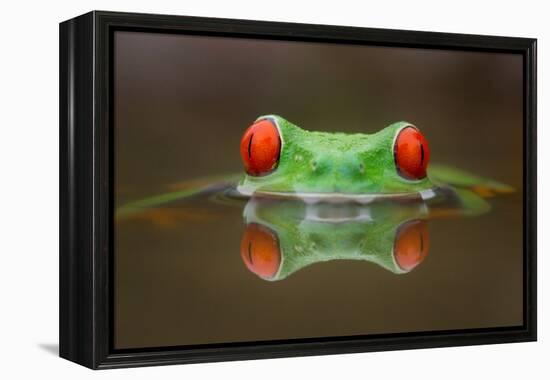 Burning Eyes-Kutub Uddin-Framed Premier Image Canvas