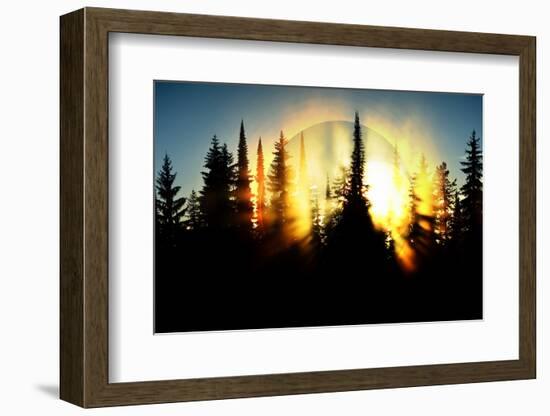 Burning Forest-Ursula Abresch-Framed Photographic Print