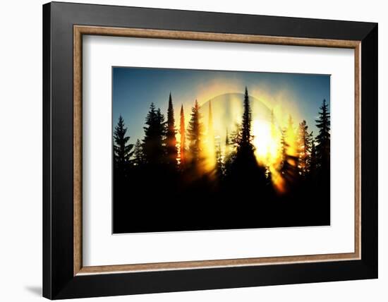 Burning Forest-Ursula Abresch-Framed Photographic Print