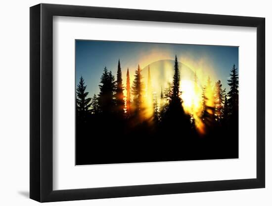 Burning Forest-Ursula Abresch-Framed Photographic Print