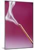 Burning Incense-Cristina-Mounted Photographic Print