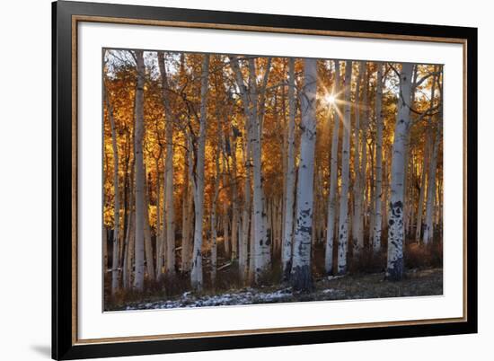 Burning October-Michael Greene-Framed Giclee Print