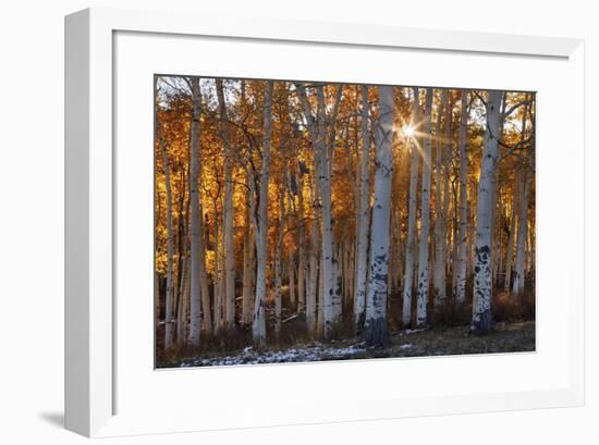 Burning October-Michael Greene-Framed Giclee Print