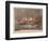 Burning of the Clipper Ship, 'Golden Light'-Currier & Ives-Framed Giclee Print