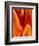 Burning Passion-Ruth Palmer-Framed Art Print