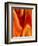 Burning Passion-Ruth Palmer-Framed Art Print