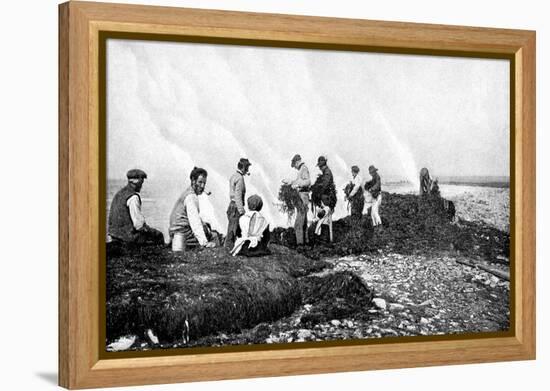 Burning Seaweed for Kelp, Aran Islands, Ireland, 1922-AW Cutler-Framed Premier Image Canvas